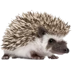 Animale mici