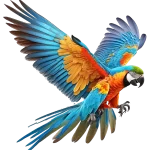 Pasari
